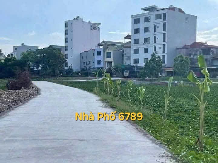Đất phân lô Kim Bài. 46m2 u2 1000019757